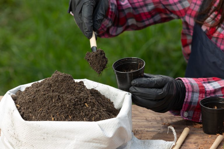 The Benefits of Organic vs. Synthetic Fertilizers