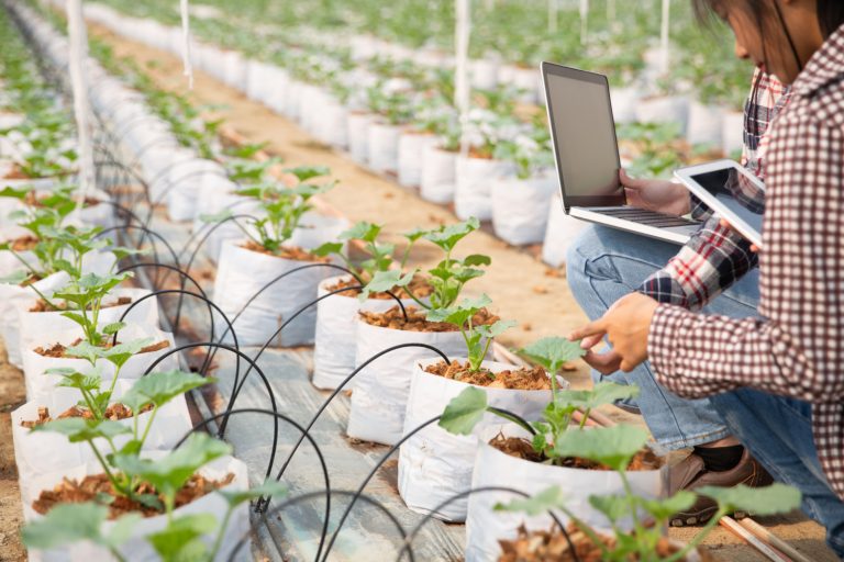 Integrating Solar Energy into Sustainable Agriculture: A Path to Eco-Friendly Farming
