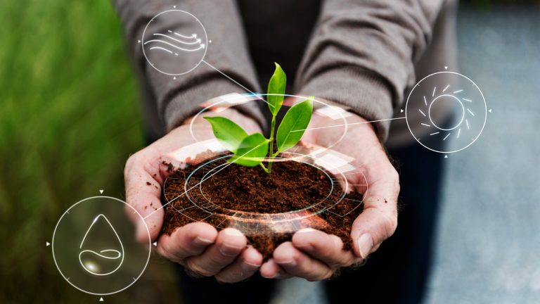 Sustainable Farming: Innovative Practices for a Greener Future