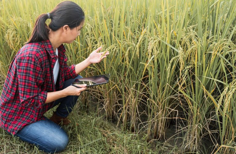 Addressing Soil Deficiencies Naturally: Proven Strategies to Boost Crop Yields Sustainably